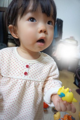 DSC04556