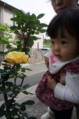 DSC08128