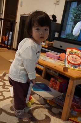 DSC08229
