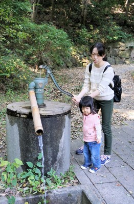 DSC00729