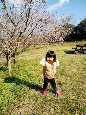 IMG_20171127_110637