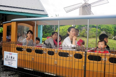 DSC05954